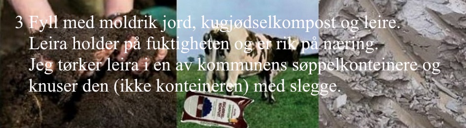 Punkt 3 tre bilder med tekst